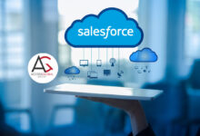 salesforce certified consultant